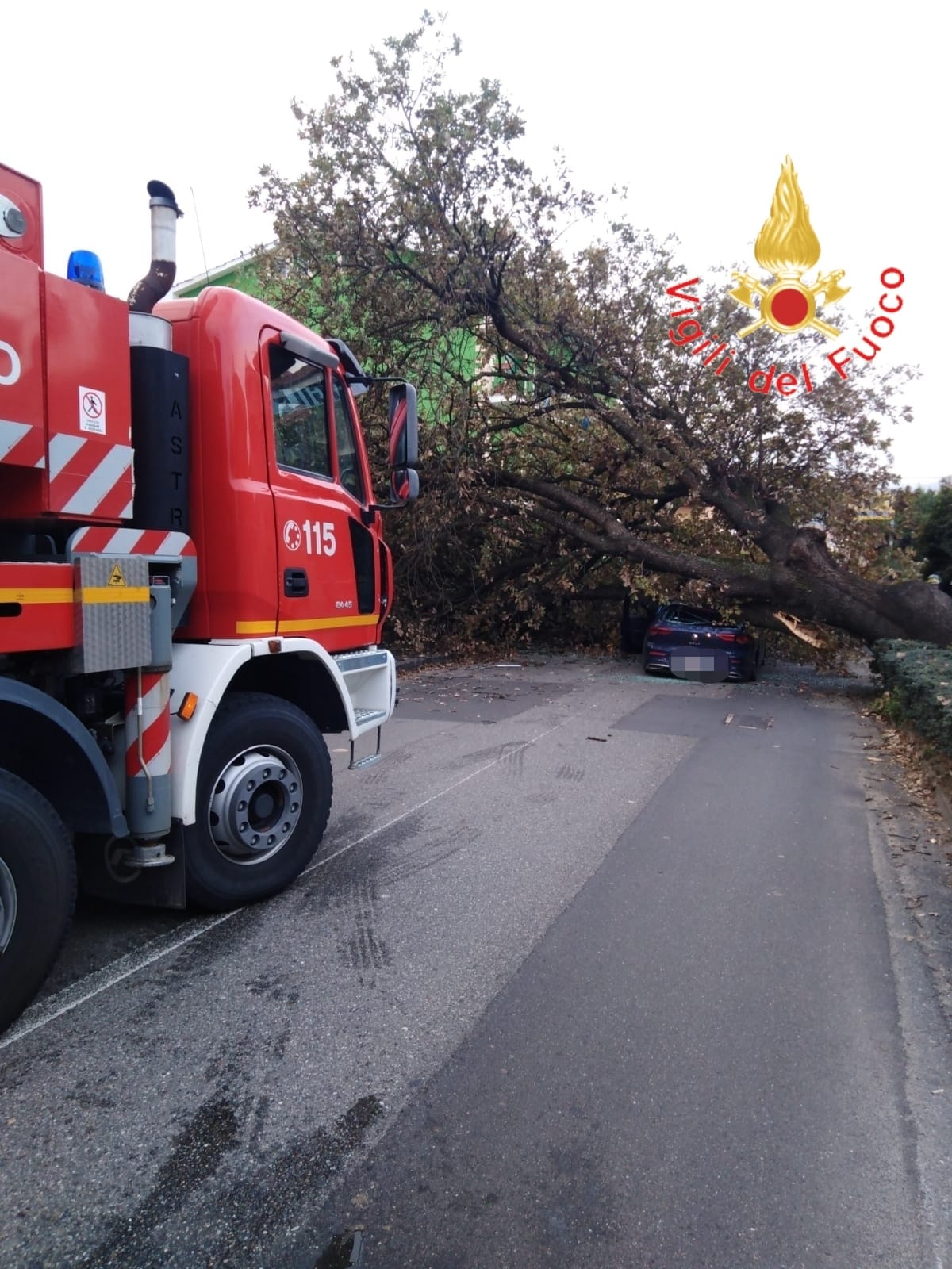 Rende Un Albero Cade Su Un Auto In Transito Ferito Il Conducente Video