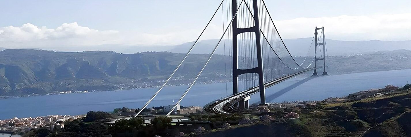 Ponte Sullo Stretto Il Wwf Mancano Approfondimenti Sulla Sicurezza