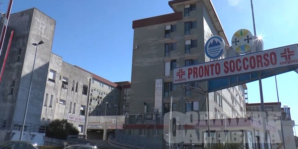 Ninna e Matti in visita all'ospedale 'Pugliese-Ciaccio' di Catanzaro, sogno  di una piccola paziente diventa realtà - il