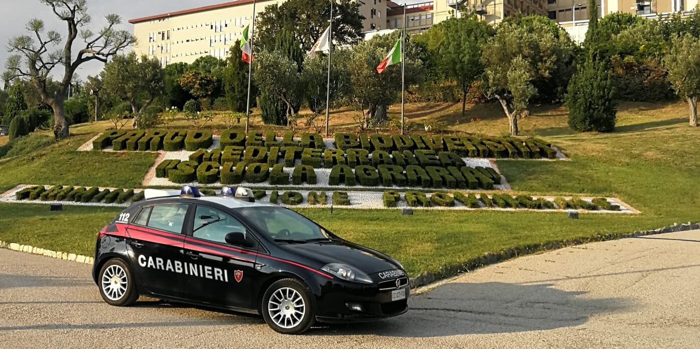 Catanzaro, Truffa Su Reddito Di Cittadinanza E Buoni Spesa: Denunciati ...