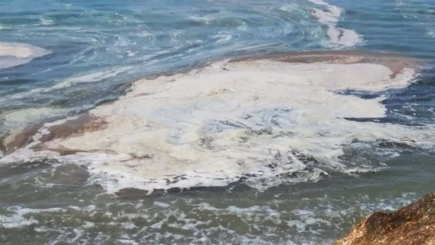 Alcune macchie giallastre che ricoprono le acque marine della Calabria